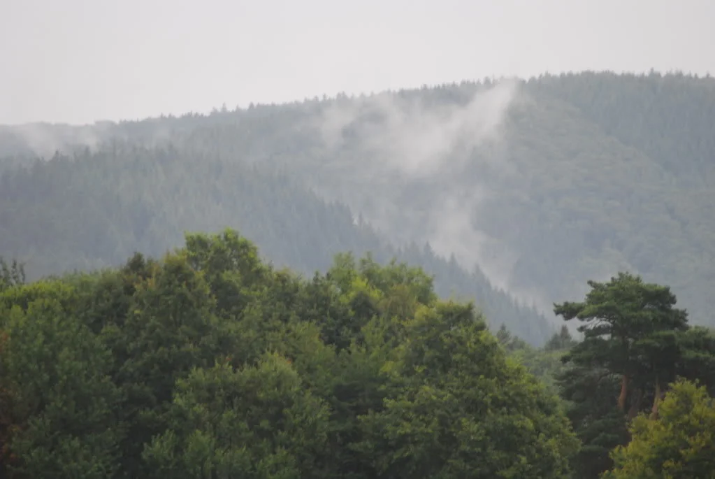 DSC_0629.webp