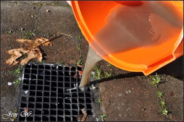 DSC_0635.jpg DSC_0635.jpg