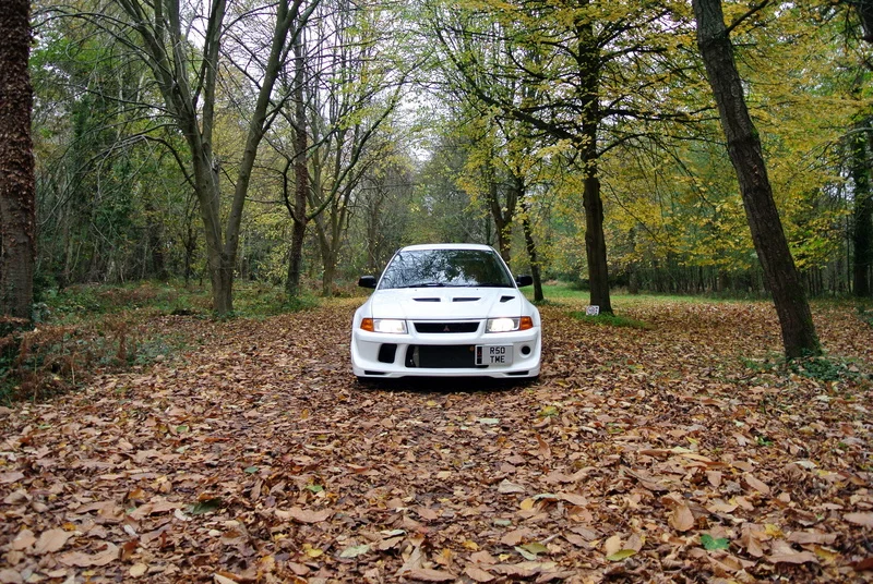 DSC_0650_zpsrahyctnz.webp