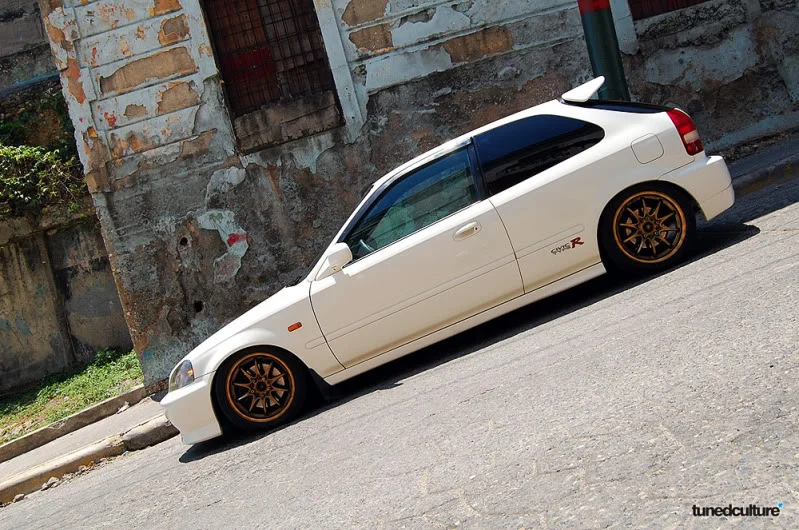 DSC_0668.webp