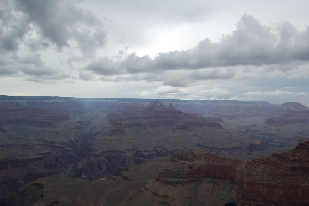 DSC_06750633.jpg DSC_06750633.jpg