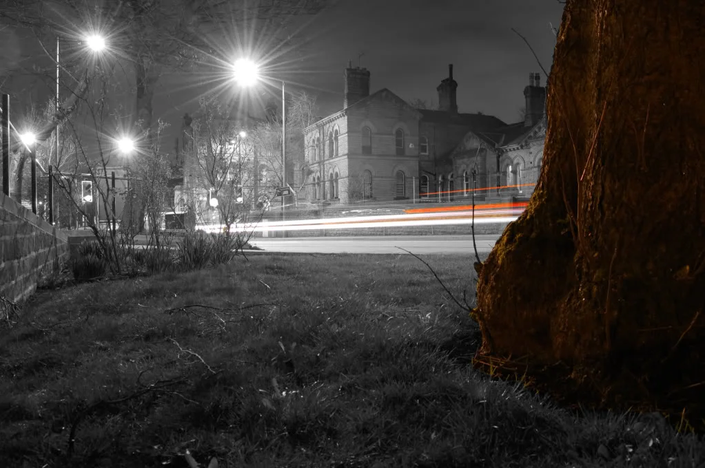 DSC_0676_1323copy.webp