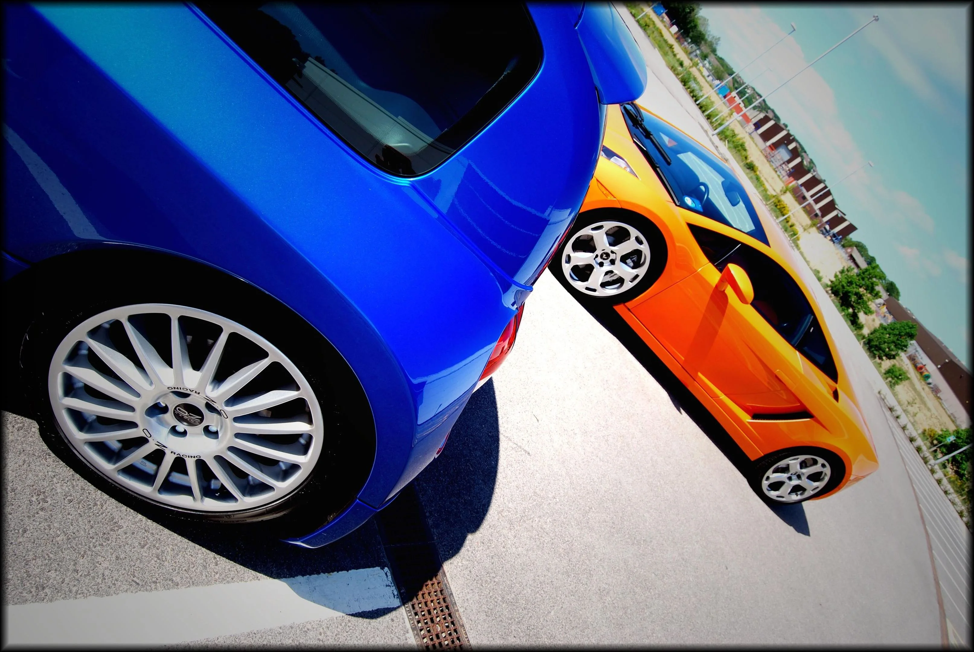 DSC_0687.webp