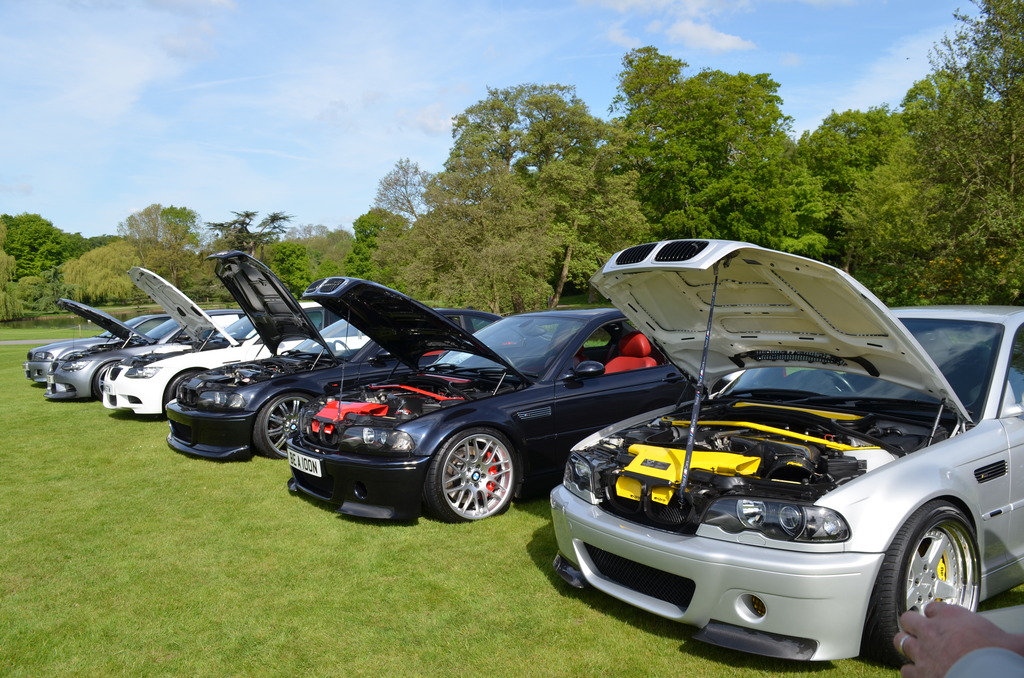 DSC_0702_zpsdkdggrxz.jpg