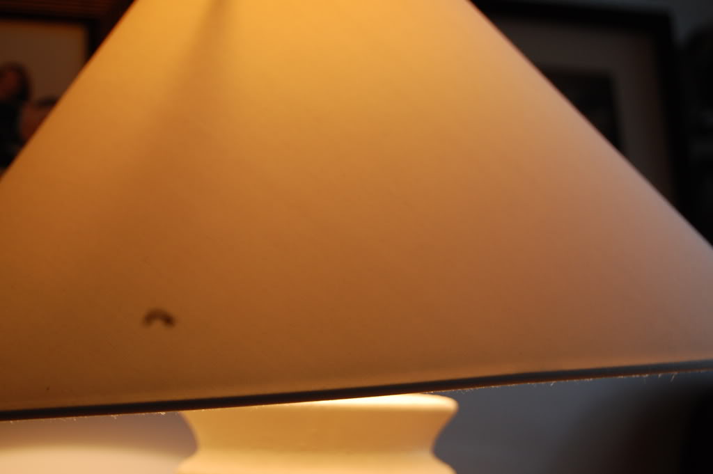 DSC_0703.jpg DSC_0703.jpg