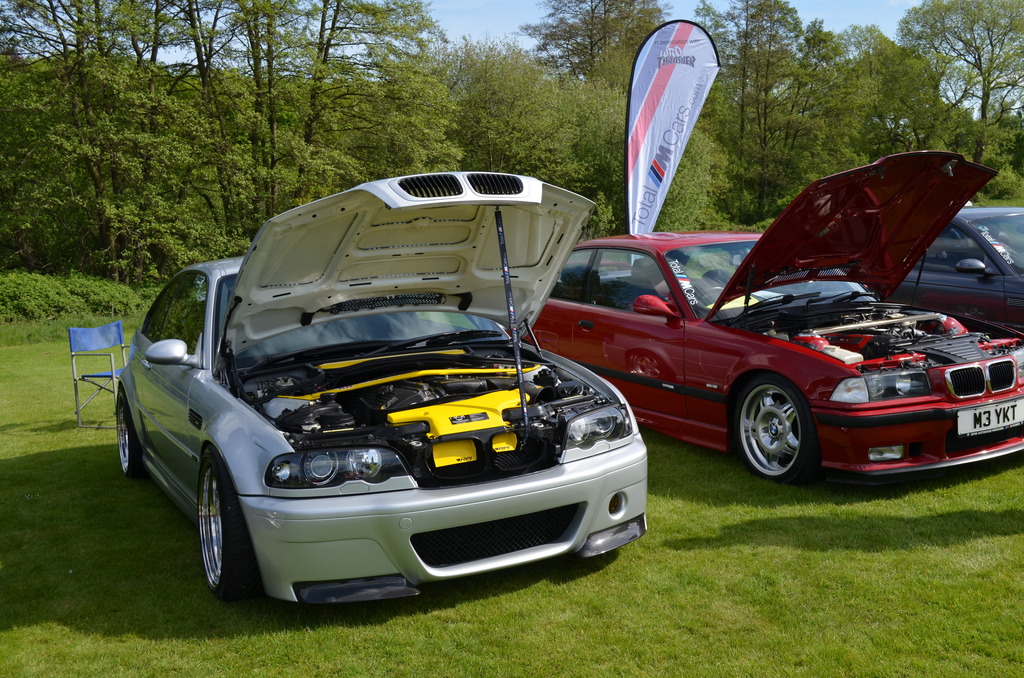 DSC_0707_zpsftmyjl8b.jpg