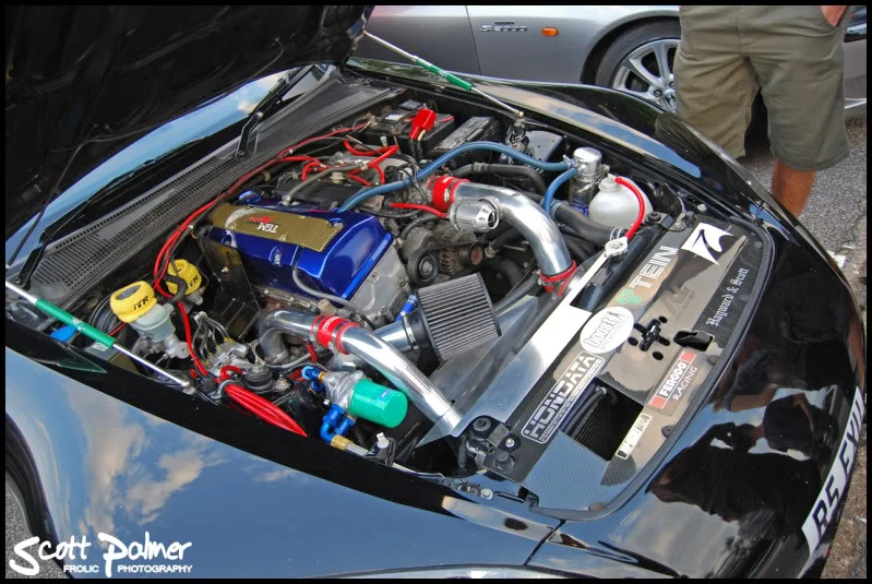 DSC_0714.webp