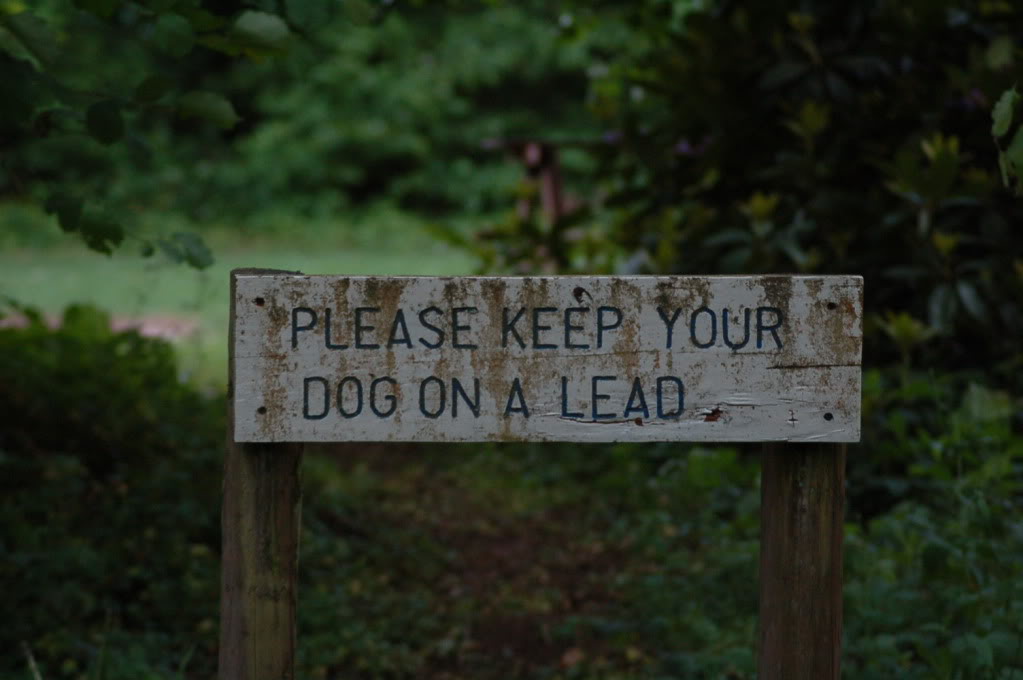 DSC_0715.jpg DSC_0715.jpg