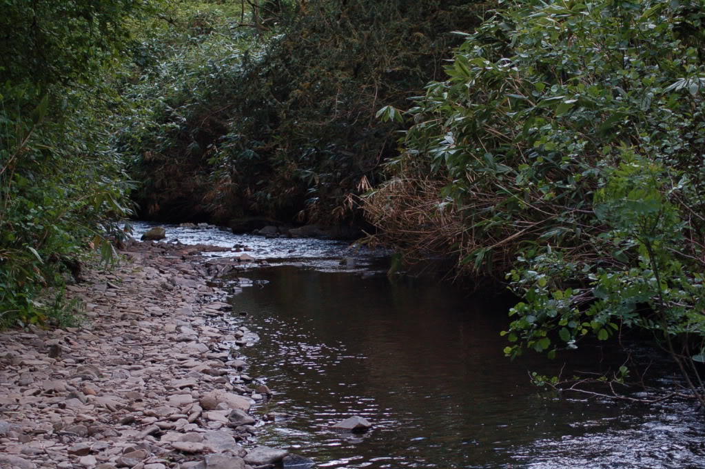 DSC_0716.jpg DSC_0716.jpg