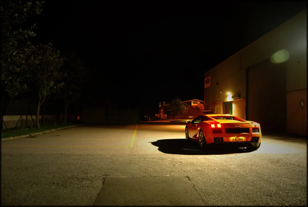 DSC_0719W.webp