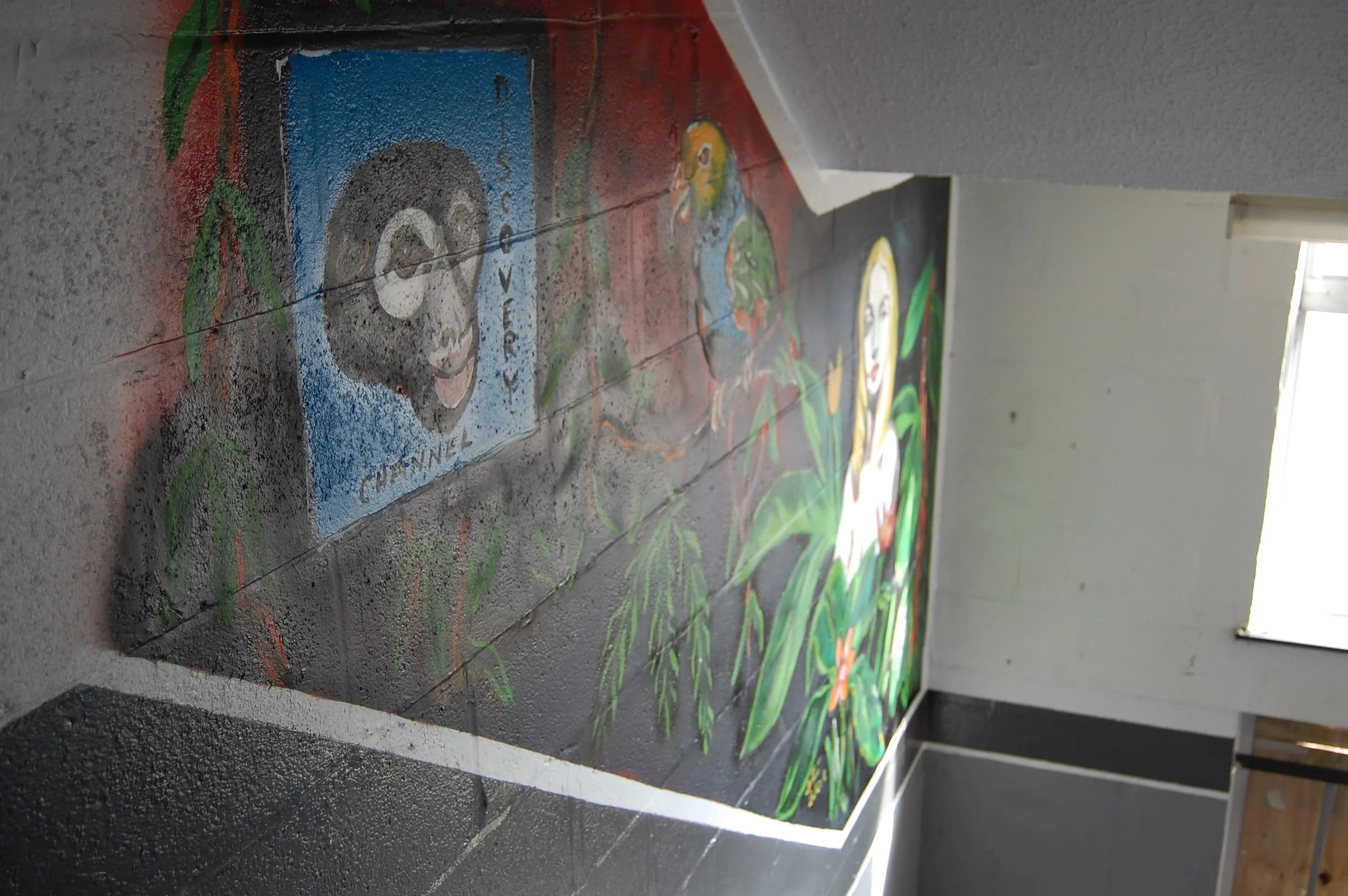 DSC_0724.webp