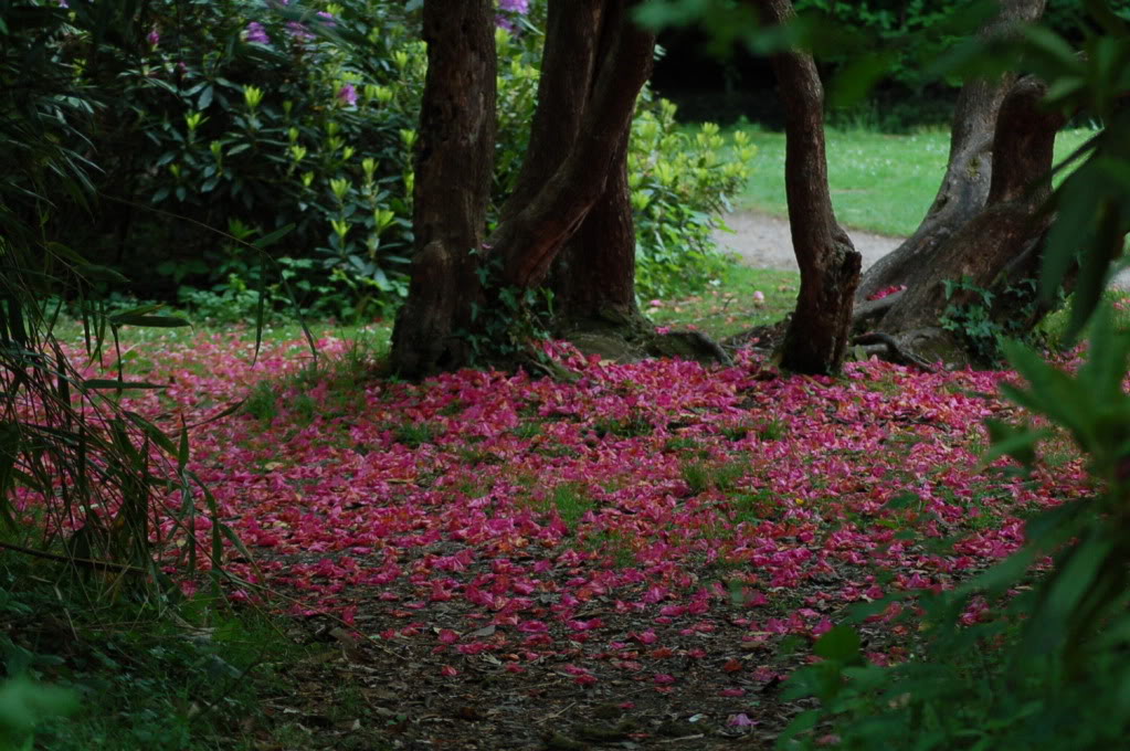 DSC_0729.jpg DSC_0729.jpg