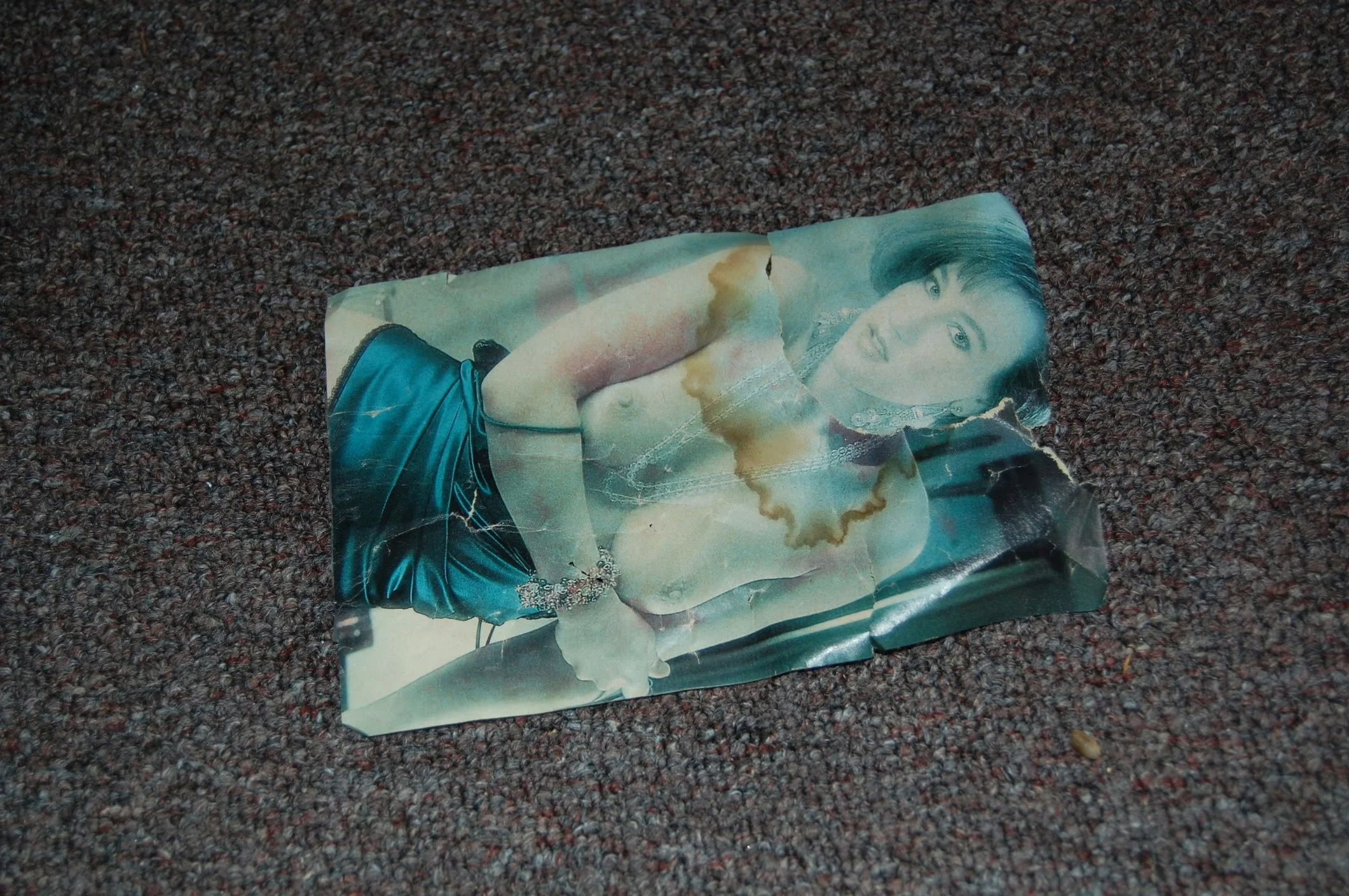 DSC_0730.webp