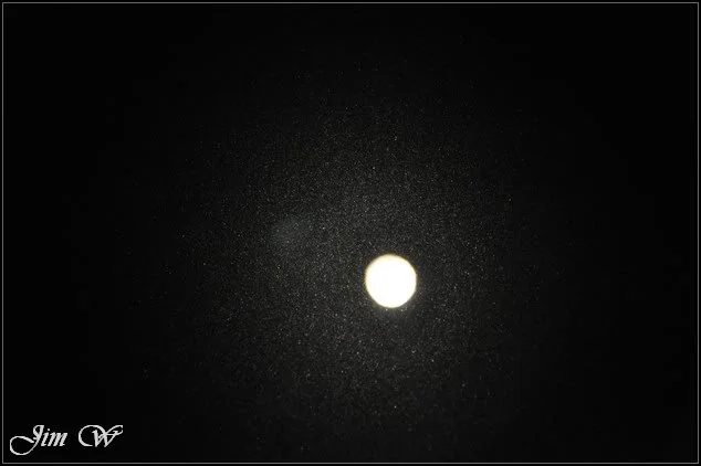 DSC_0741.webp