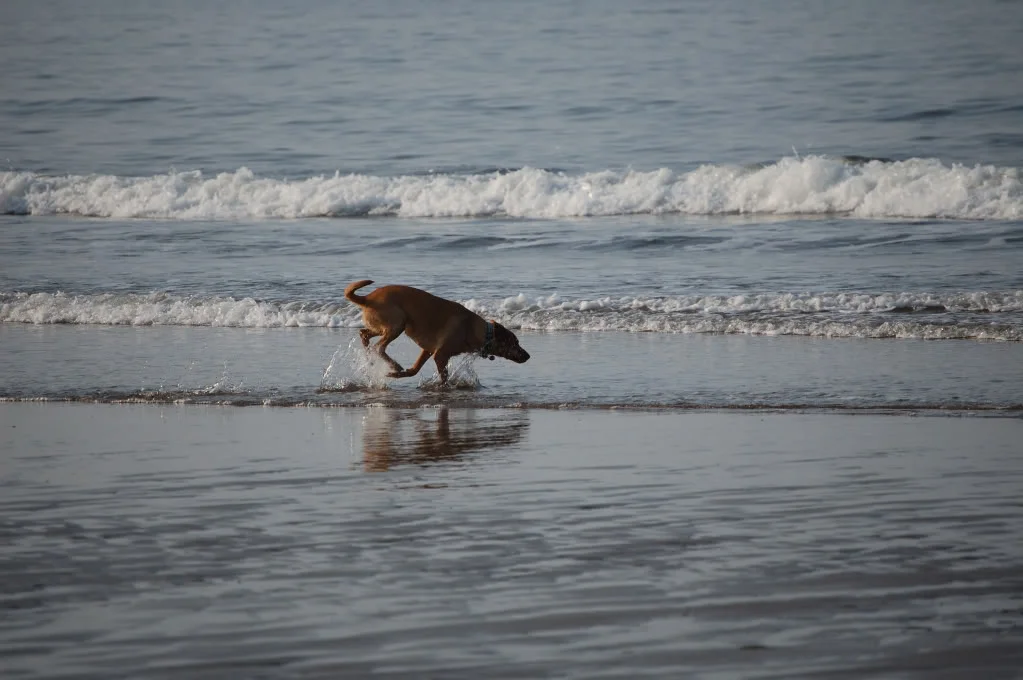 DSC_0752_156.webp
