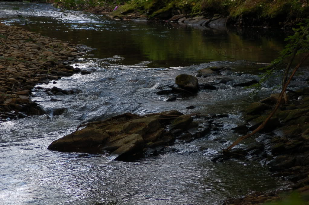 DSC_0767.jpg DSC_0767.jpg