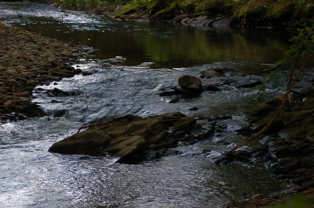 DSC_0767.webp