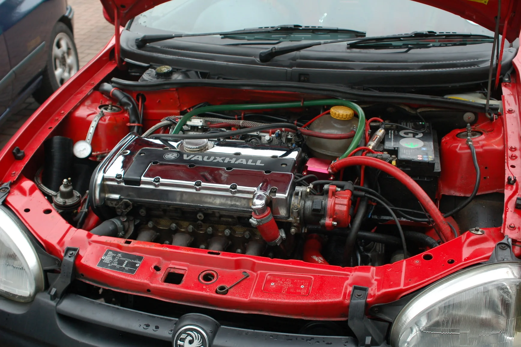 DSC_0782.webp