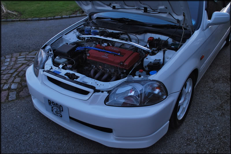 DSC_08.jpg DSC_08.jpg