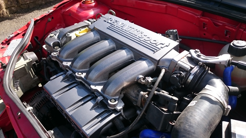DSC_0803_zpssbrsqvtx.jpg