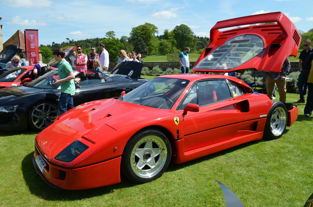 DSC_0808_zpsmvvg6bne.jpg