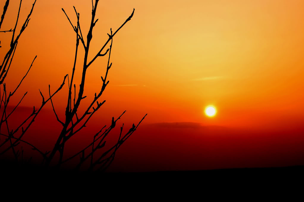 DSC_0817_181-1.jpg DSC_0817_181-1.jpg