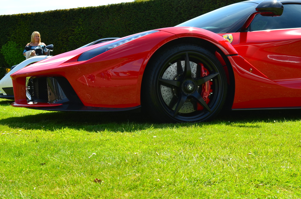 DSC_0827_zpsh4wwyeby.jpg