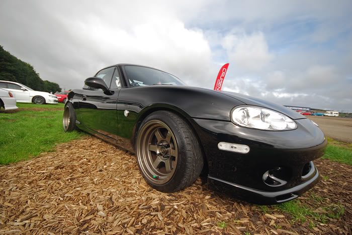 DSC_0831.jpg DSC_0831.jpg