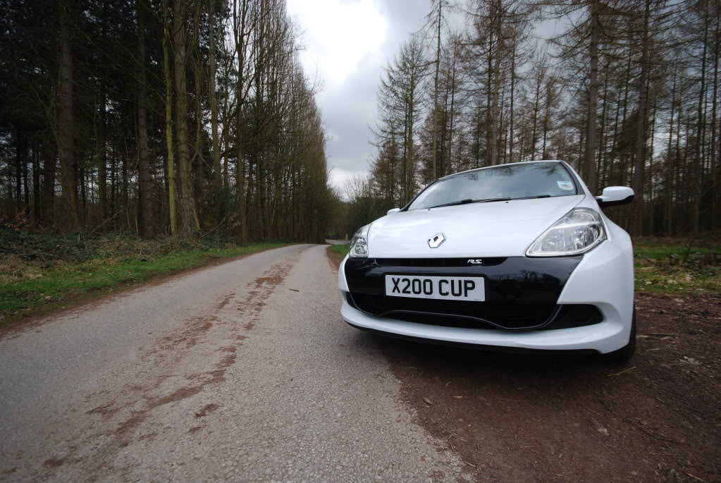 DSC_0833.jpg DSC_0833.jpg