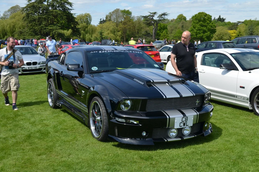 DSC_0842_zpsanbp6r1a.webp