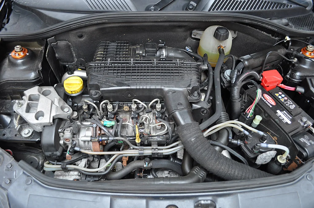 DSC_0843.webp