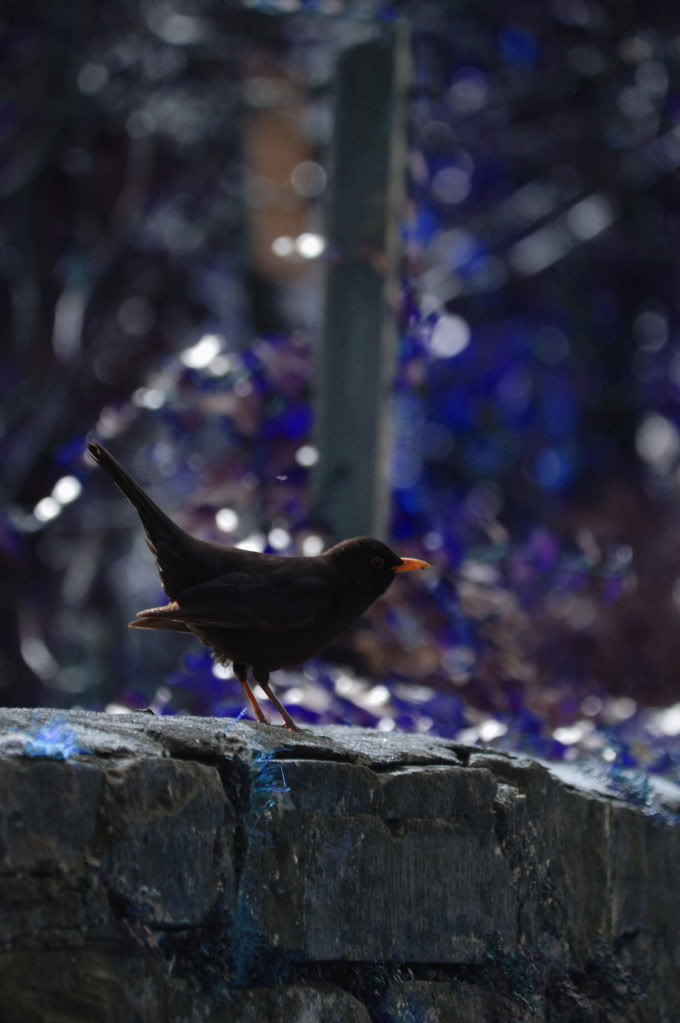 DSC_0901_196copy.jpg DSC_0901_196copy.jpg