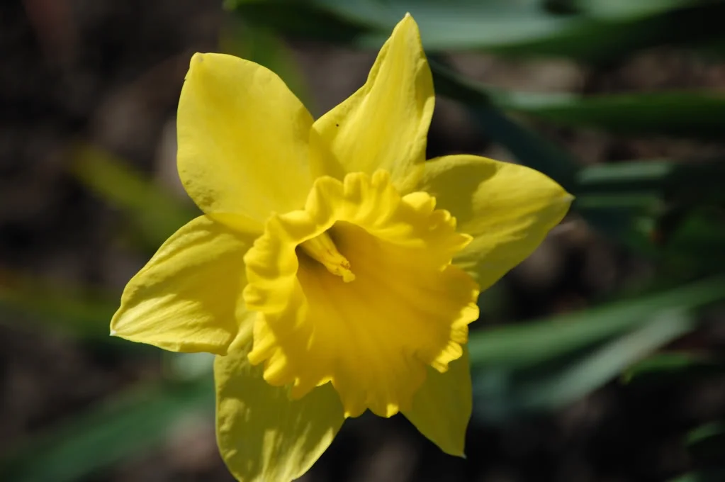 DSC_0909_193.webp