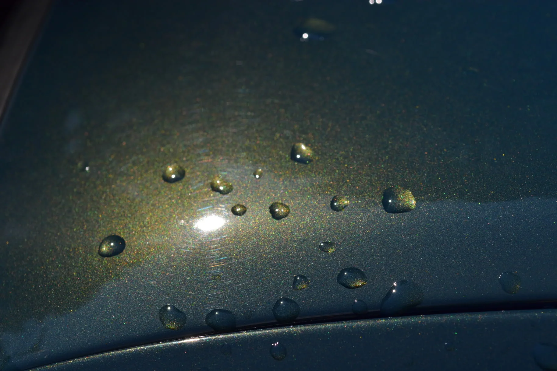 DSC_1020.webp