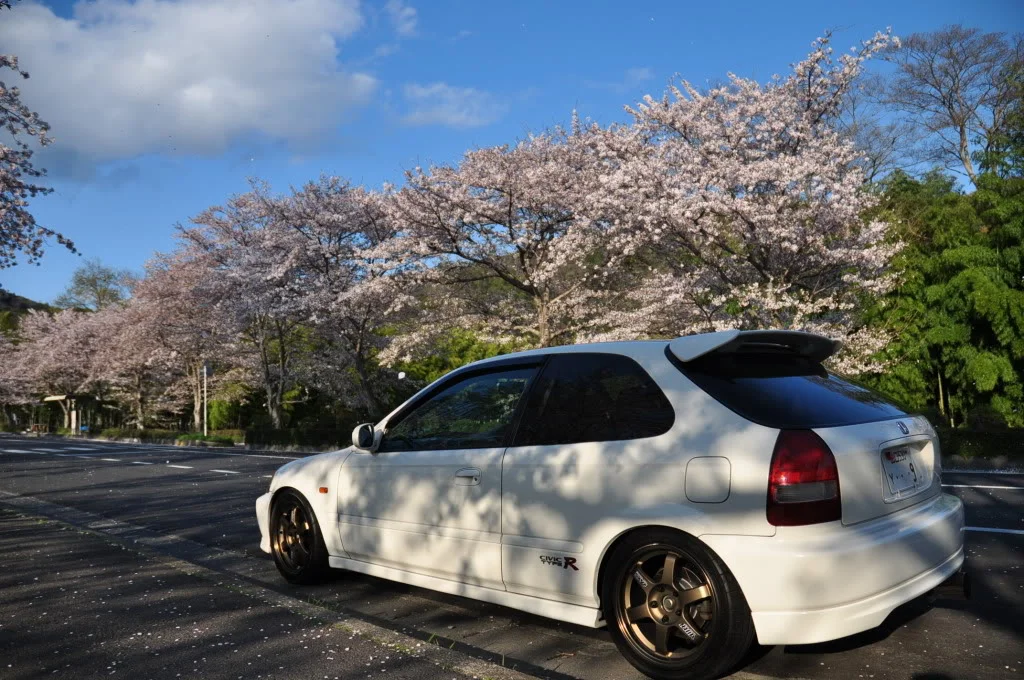 DSC_1059.webp