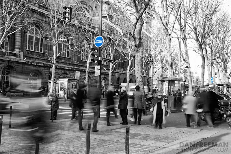 DSC_1113.webp
