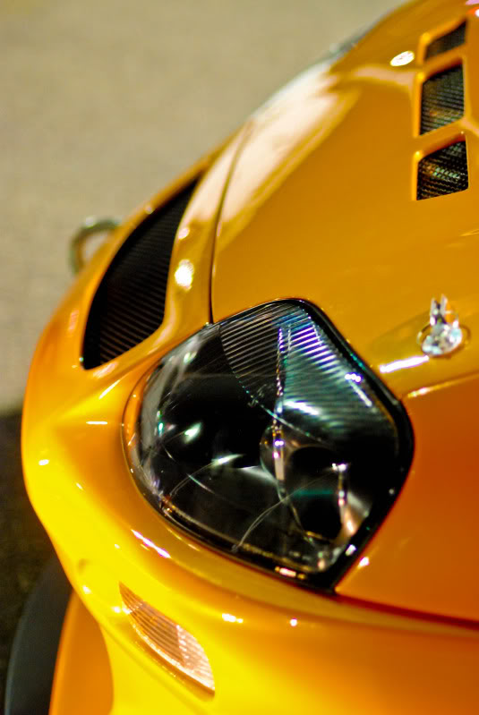 DSC_1196.jpg