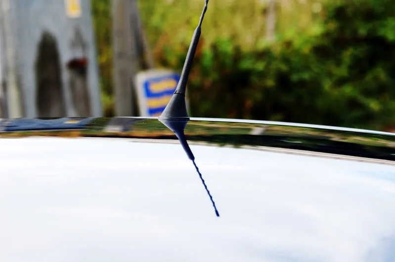 DSC_1239V1.webp