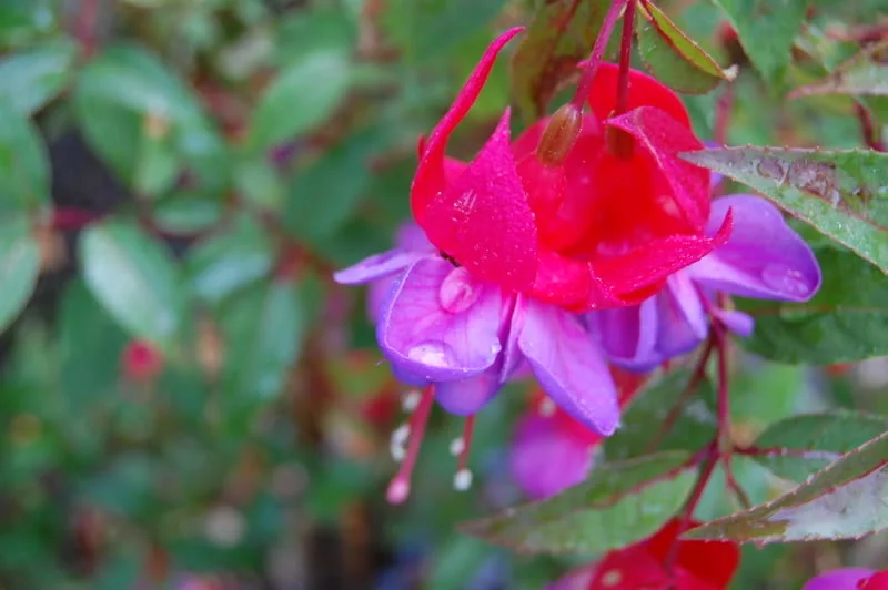 DSC_1245.webp