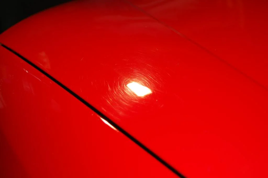 DSC_1450.webp