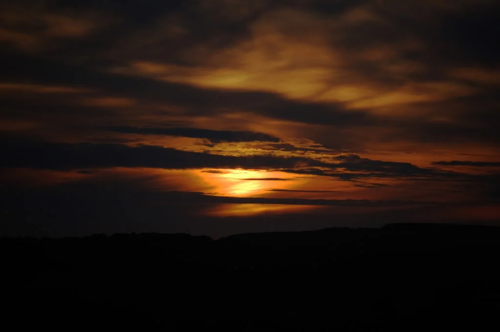 DSC_1452c.webp