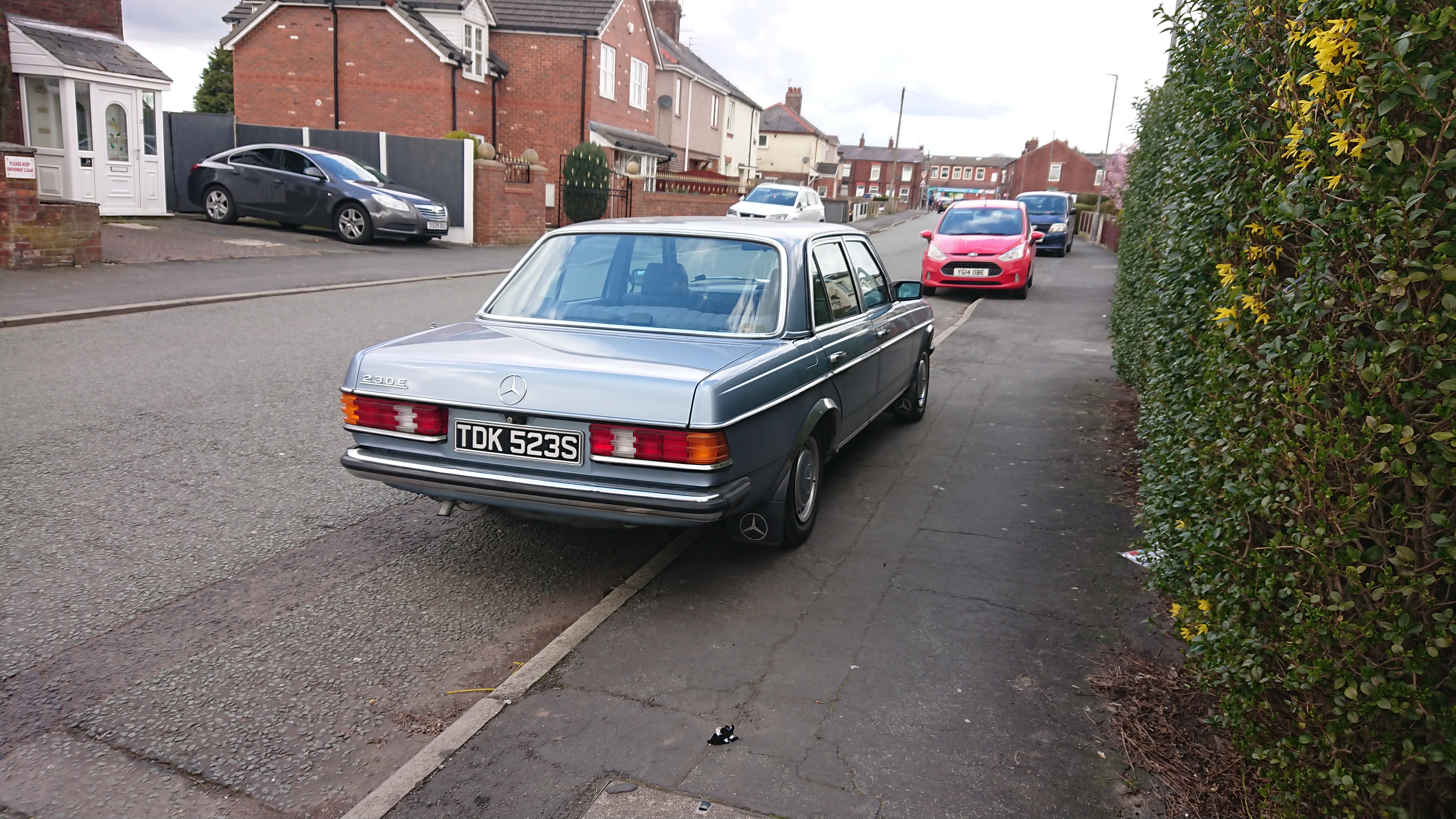 DSC_1488.JPG