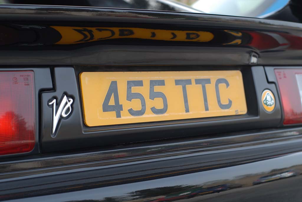 DSC_1497.jpg