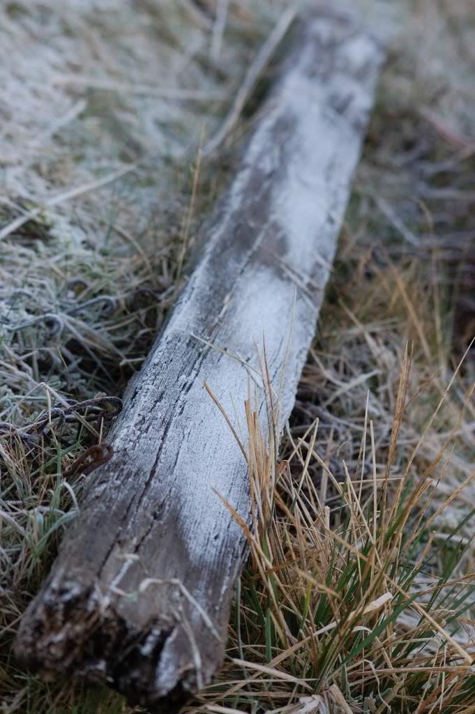 DSC_1826.jpg