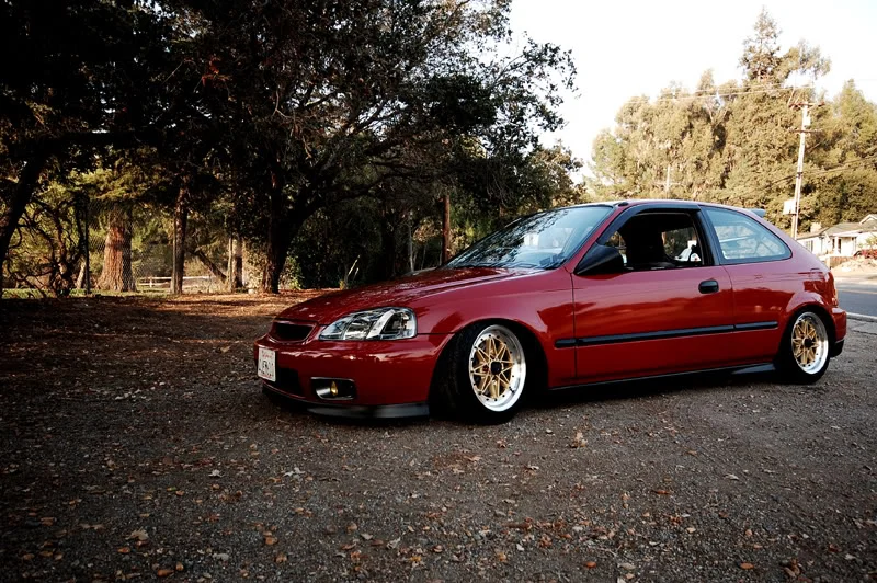 DSC_2204.webp
