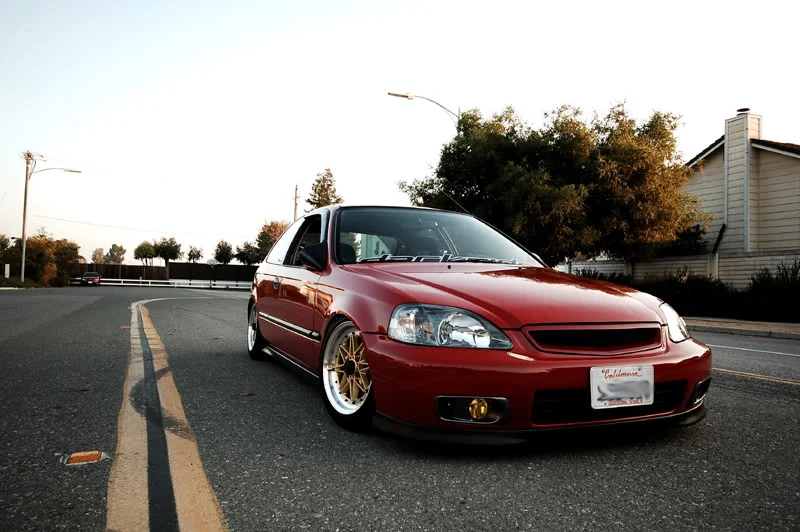 DSC_2230.webp