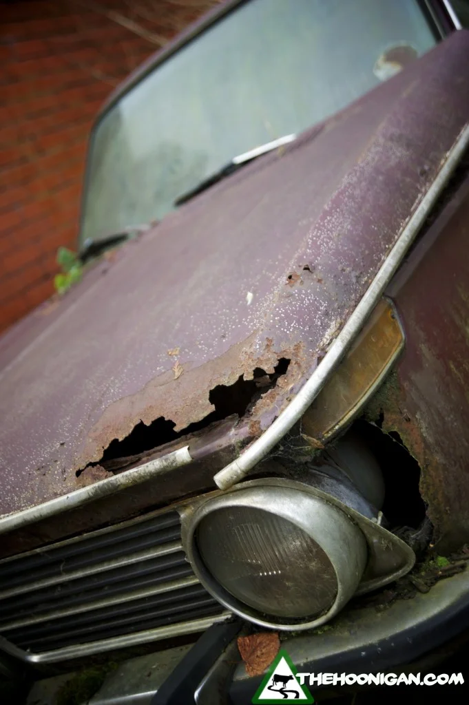 DSC_2327-681x1024.webp
