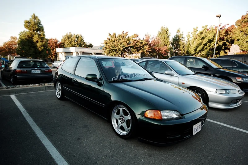 DSC_2353-1.webp
