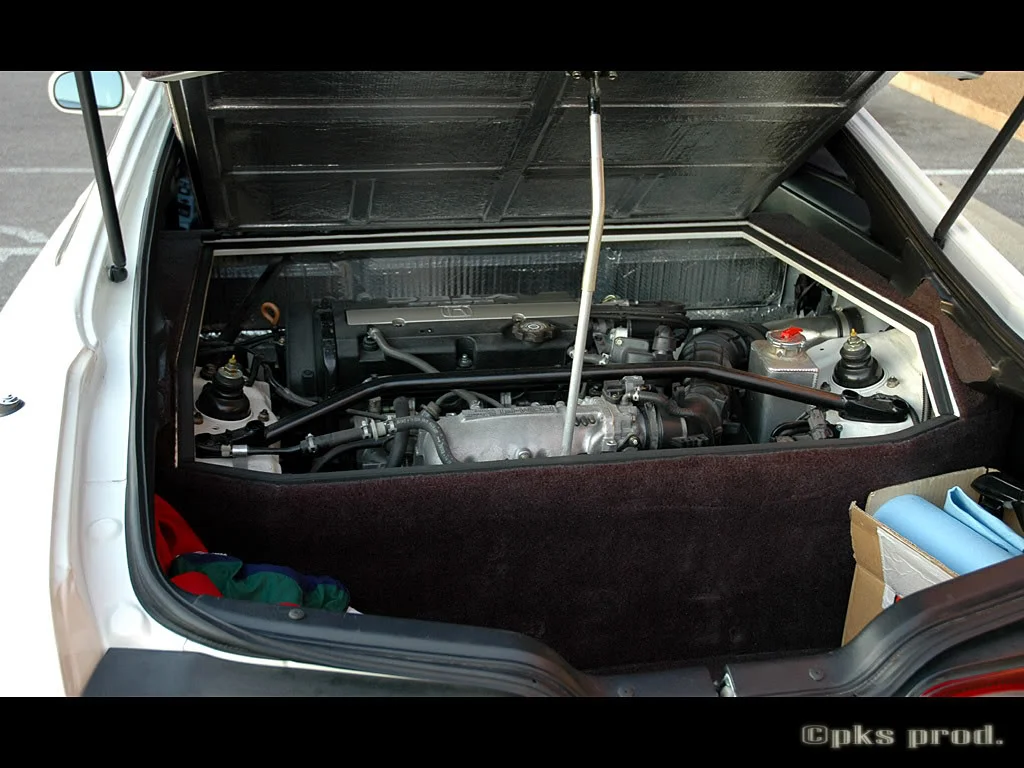 DSC_2363.webp