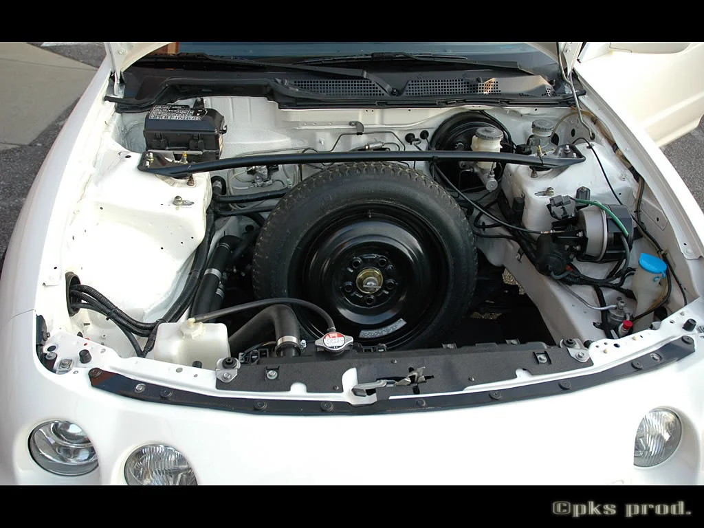 DSC_2366.webp